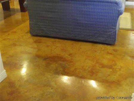 Raz Inn Central Phoenix İç mekan fotoğraf